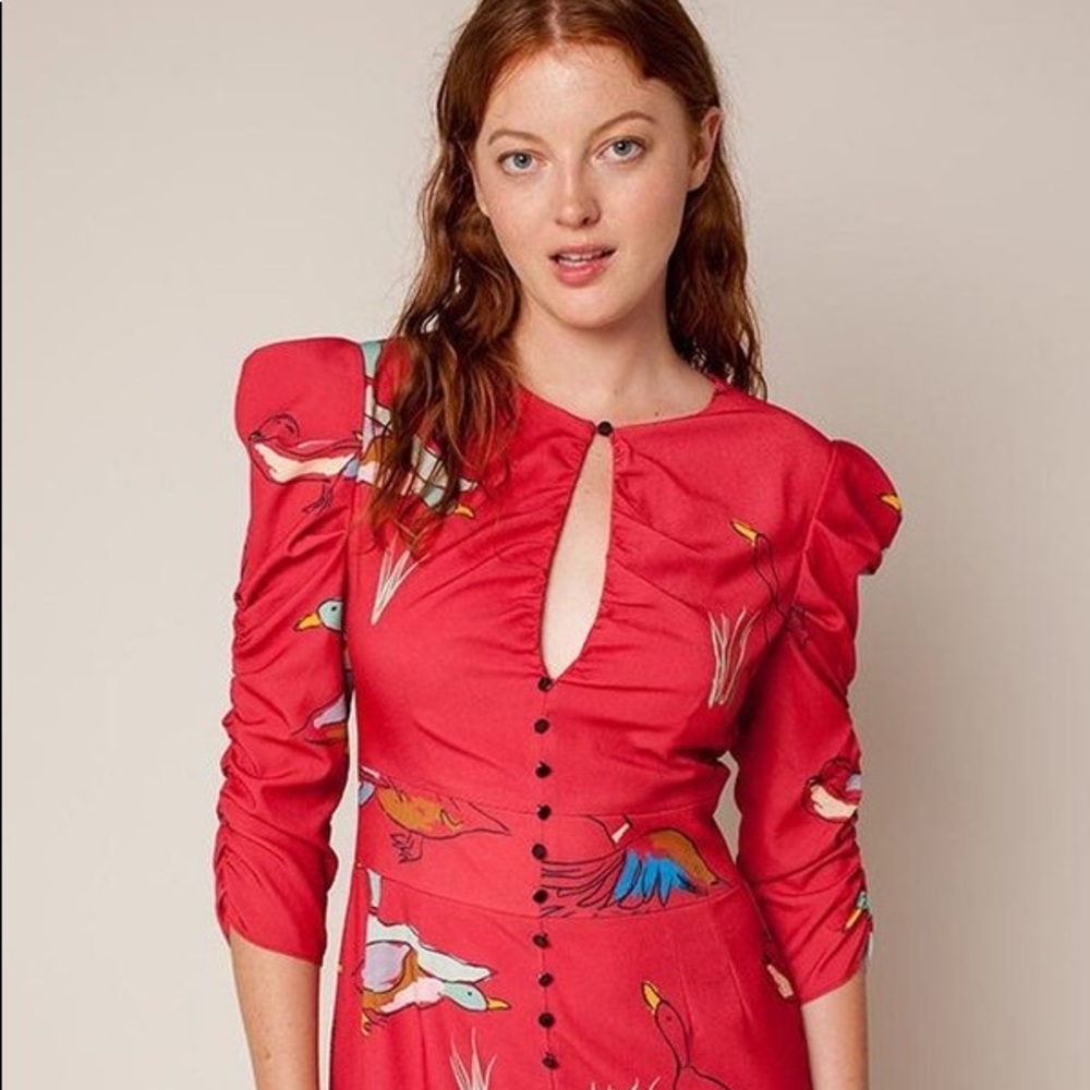 Rachel Antonoff Margaret Tea Dress in Mallard Print size 6